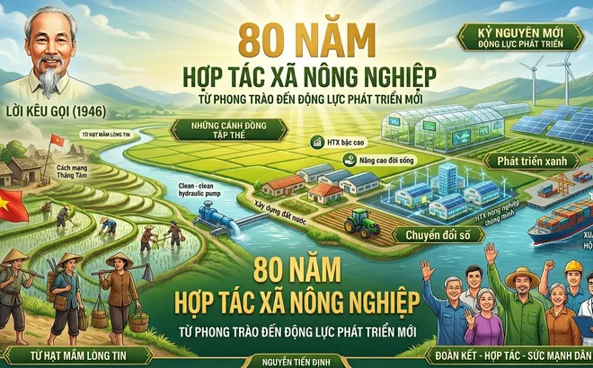 80 năm hợp tác xã nông nghiệp: Từ phong trào đến động lực phát triển mới