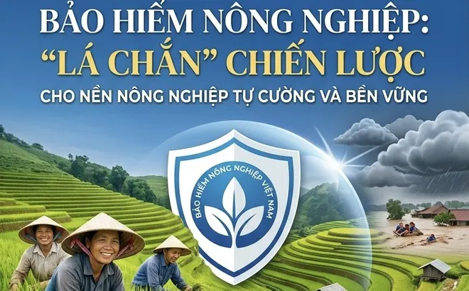 Bảo hiểm nông nghiệp: Giải pháp chiến lược cho nền nông nghiệp tự cường và bền vững