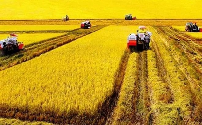 Chuyển đổi từ tư duy sản xuất nông nghiệp sang tư duy kinh tế nông nghiệp