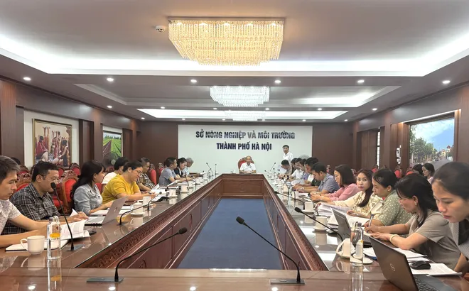 Hà Nội: Hội nghị góp ý kế hoạch thực hiện chương trình mục tiêu quốc gia xây dựng Nông thôn mới, Giảm nghèo bền vững và Phát triển kinh tế - xã hội vùng đồng bào dân tộc thiểu số và miền núi giai đoạn 2026 - 2035