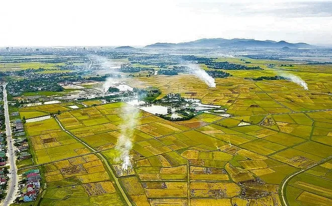 13 nguyên tắc nông nghiệp sinh thái và định hướng giải pháp chuyển đổi toàn diện, bền vững tại Đồng bằng sông Hồng